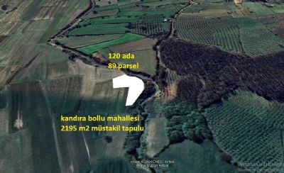 Kandıra bollu satılık arazi